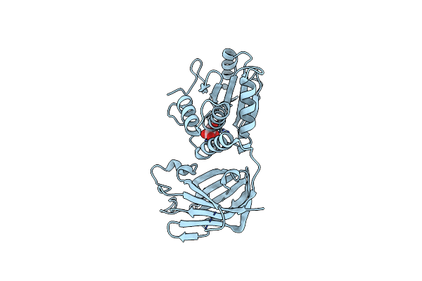 1D5R image