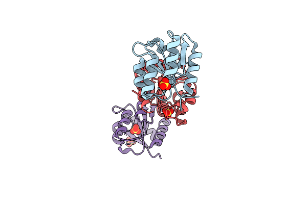 1D5W image