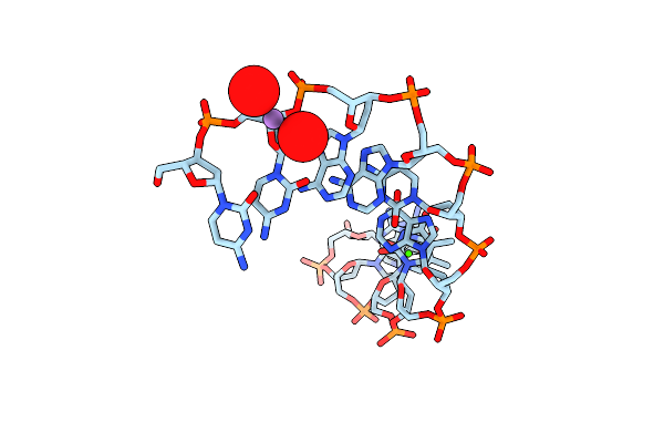 1D61 image