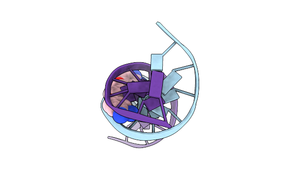 1D64 image