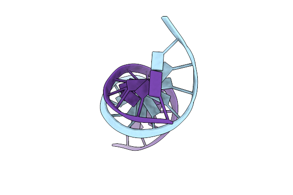1D65 image