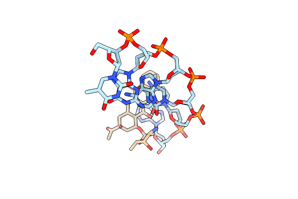 1D67 image