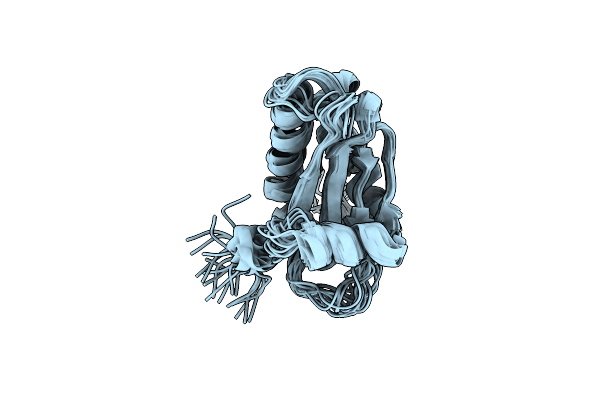 1D6T image