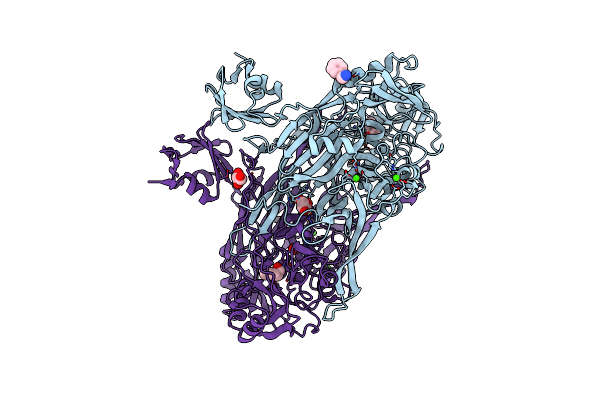 1D6Z image