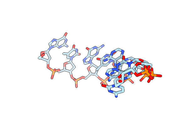1D78 image