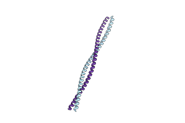 1D7M image