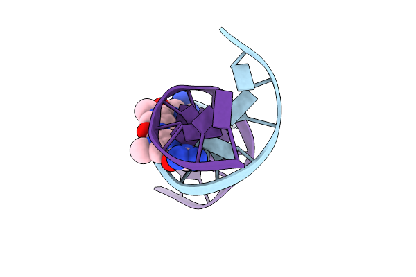 1D86 image