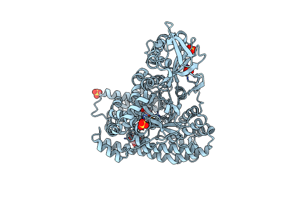 1D8C image
