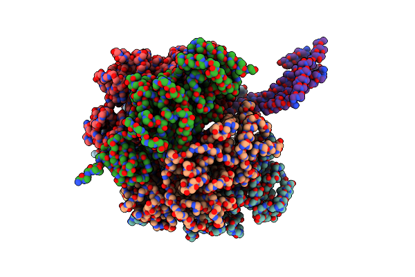 1D8S image