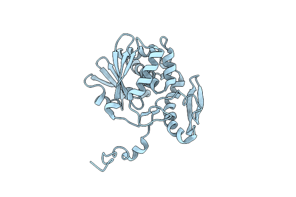 1D8V image
