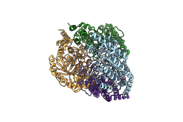 1D8W image