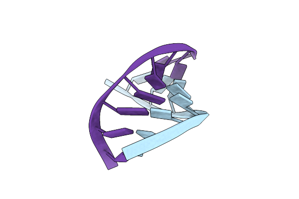 1D92 image