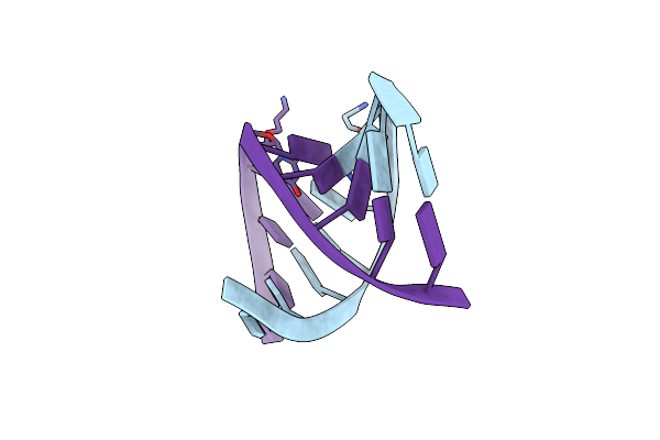 1D9H image