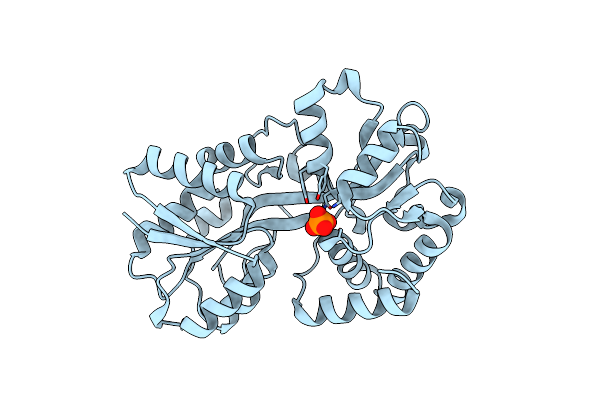 1D9V image