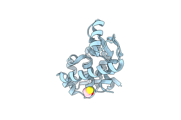 1D9W image