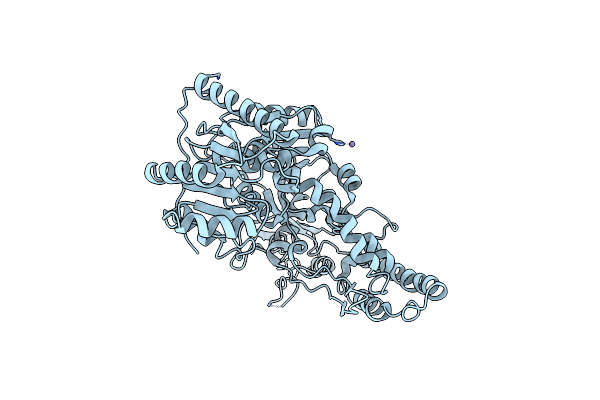 1D9X image