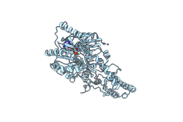 1D9Z image