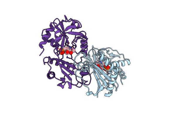 1DAA image