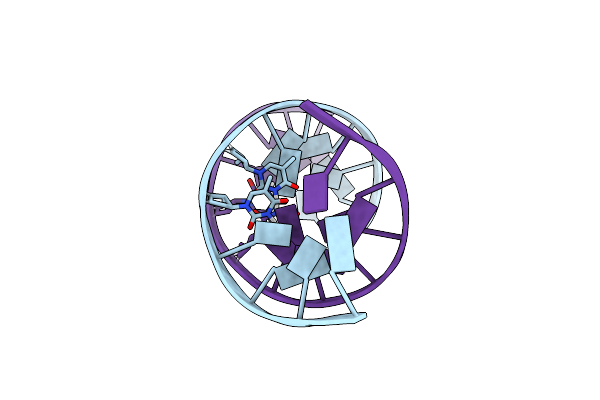 1DAU image