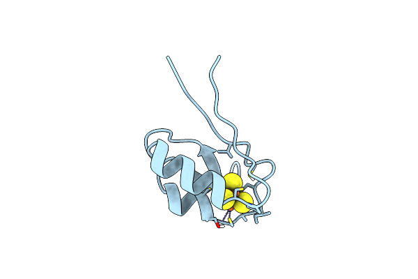 1DAX image