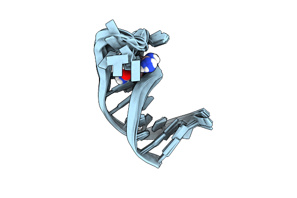 1DB6 image