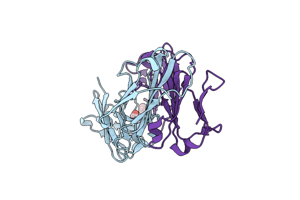 1DBA image