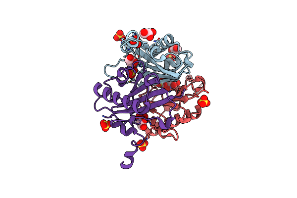 1DBF image
