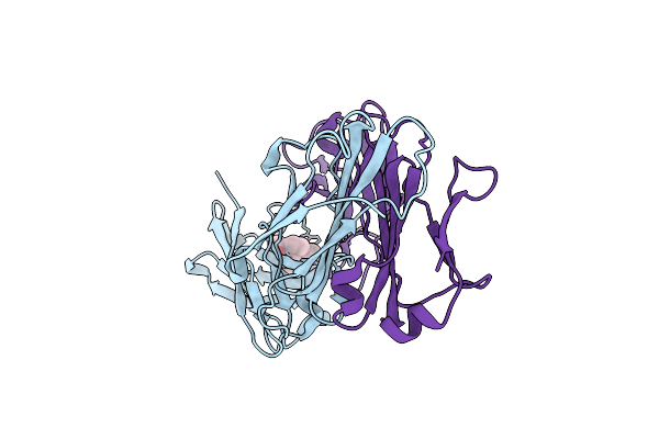 1DBM image