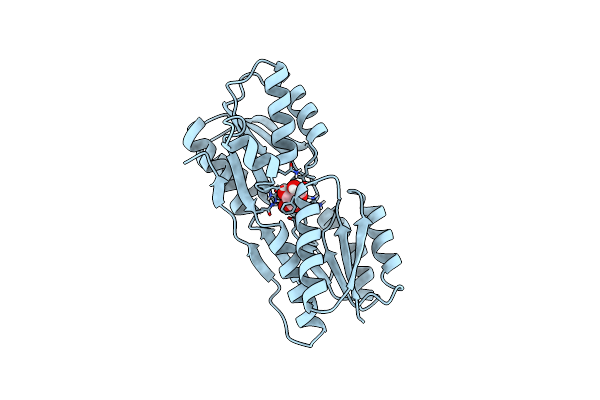 1DBP image