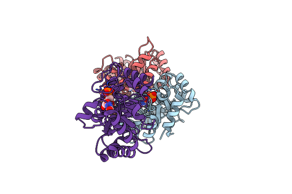 1DBT image