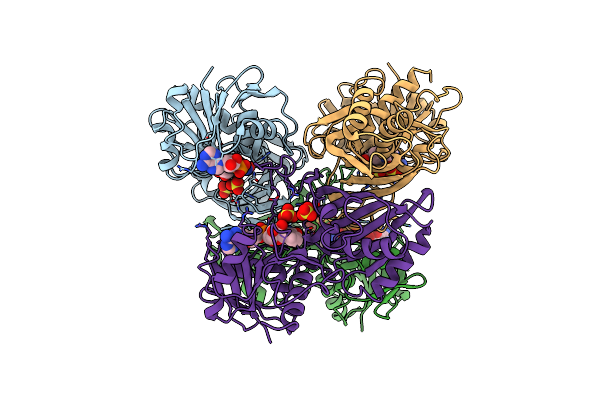 1DBV image