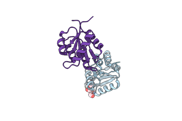1DBW image
