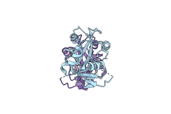 1DBX image
