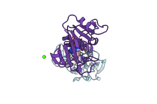 1DDS image