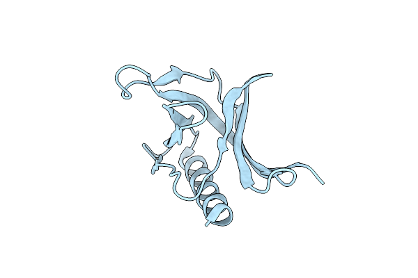 1DDW image
