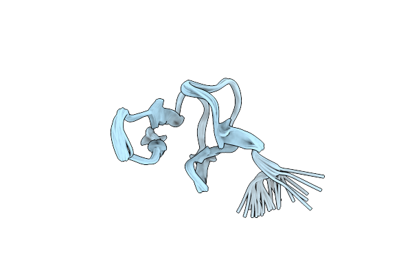 1DEC image