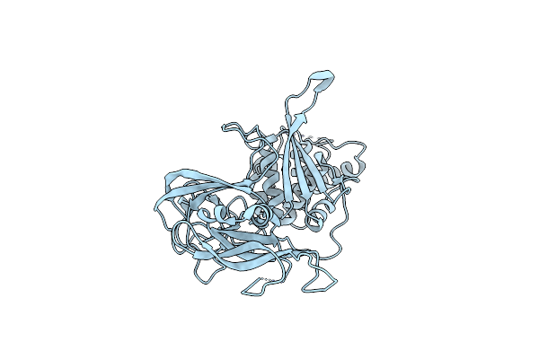 1DFA image