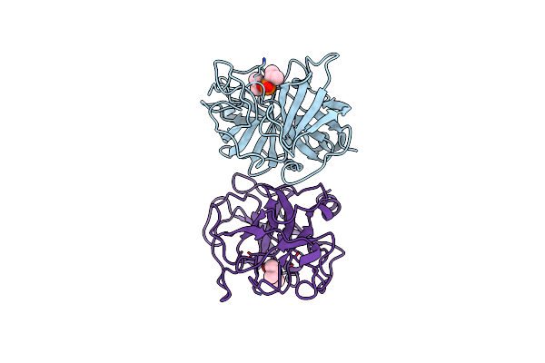 1DFP image