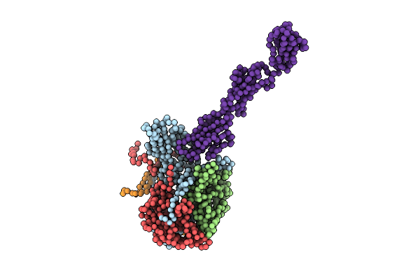 1DGI image