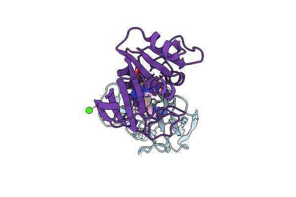 1DHI image