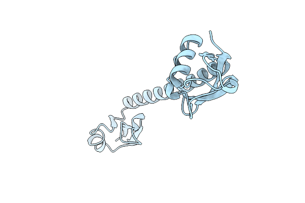 1DIV image