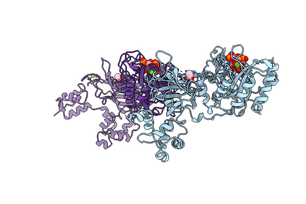 1DJX image