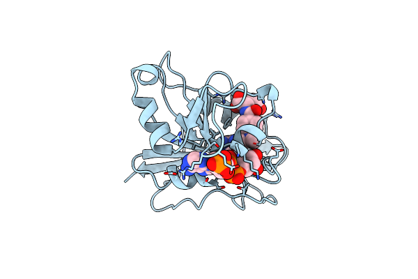 1DLS image