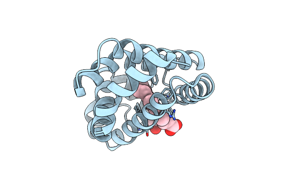 1DM1 image