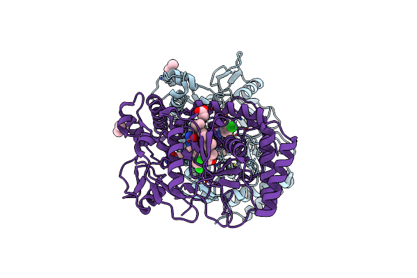 1DM6 image