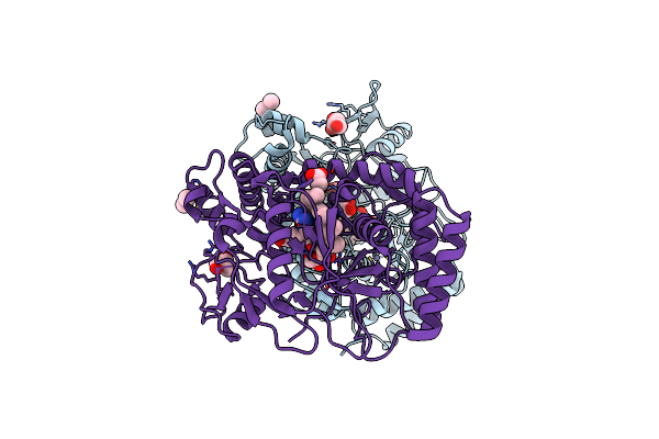 1DM7 image