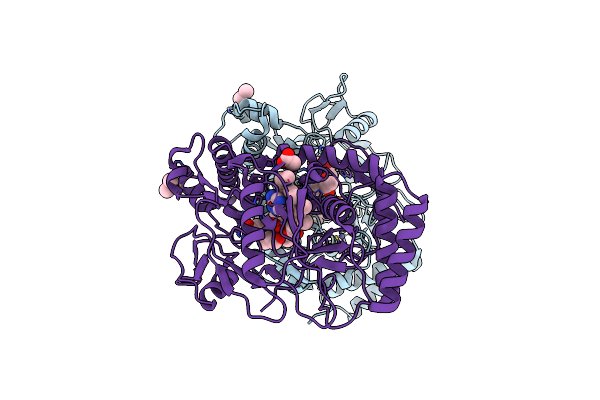 1DM8 image
