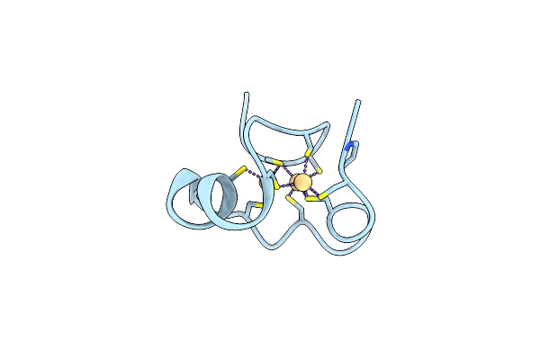 1DMC image
