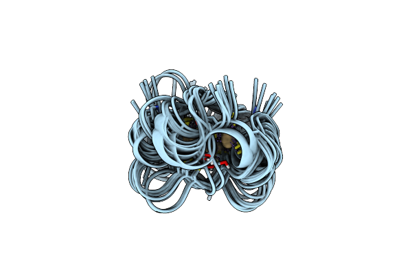 1DMD image