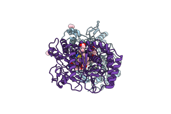 1DMI image